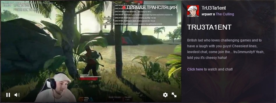 Twitch_Live_Video